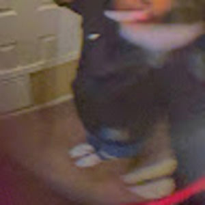 Meet your Posher, Brooklyn